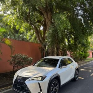 LEXUS UX 250h 2022