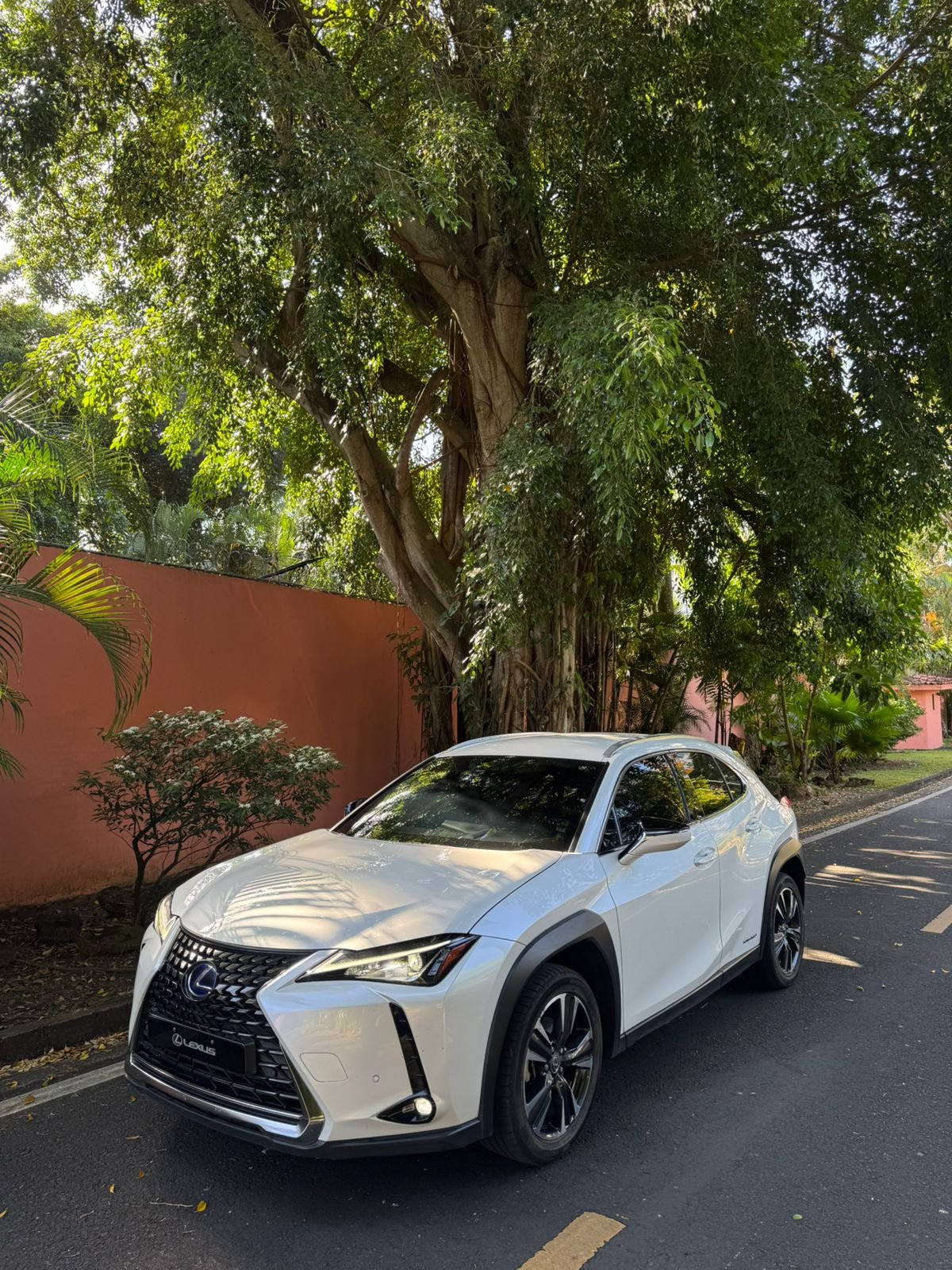 LEXUS UX 250h 2022