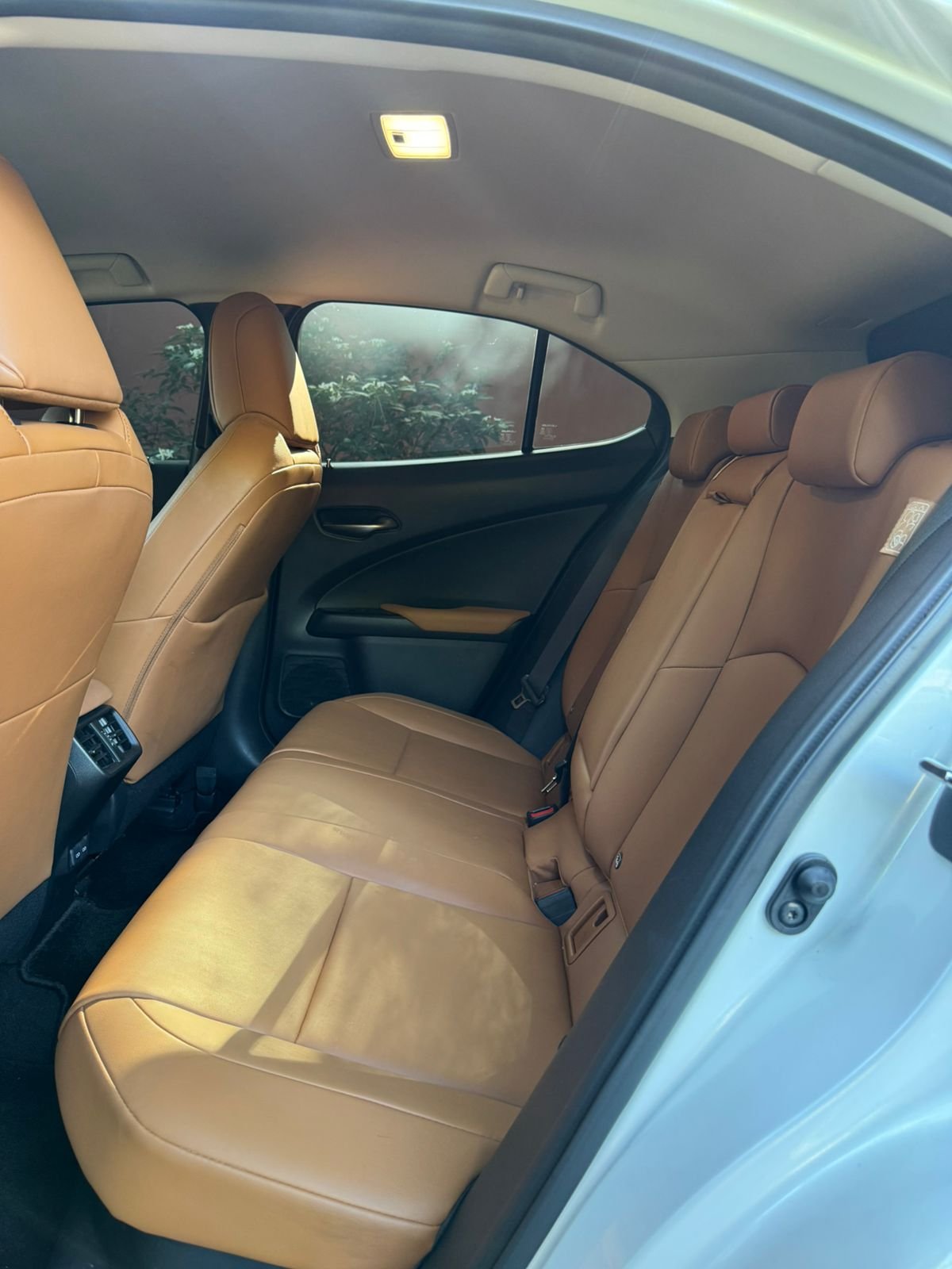 LEXUS UX 250h 2022 - Imagen 15