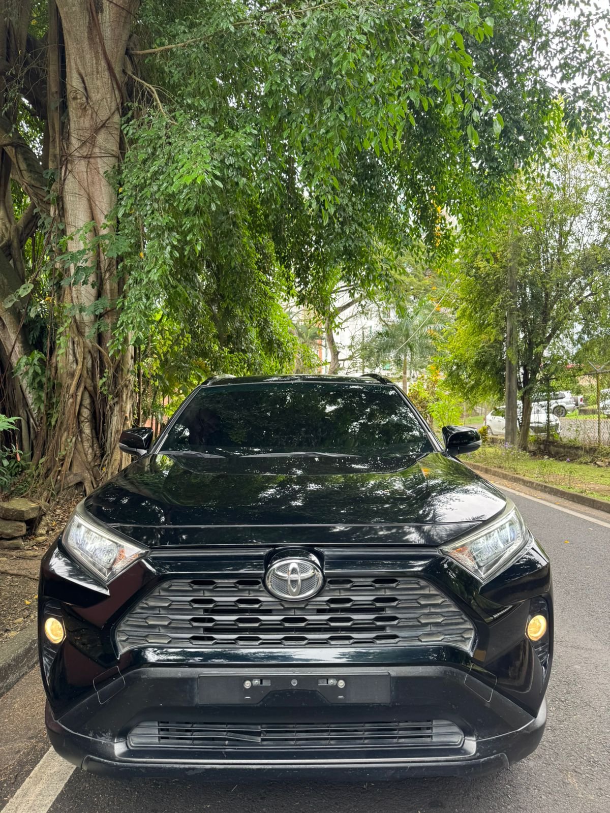 TOYOTA RAV4 2019 - Imagen 2