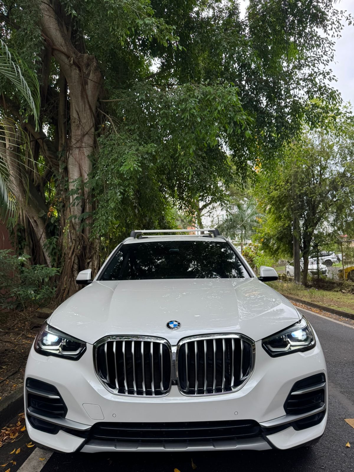 BMW X5 XDRIVE40I 2023 - Imagen 2