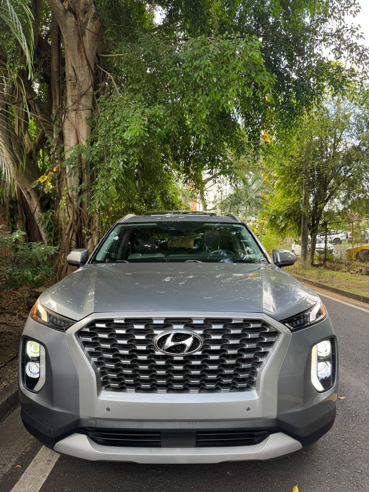 HYUNDAI PALISADE 2020 - Imagen 3