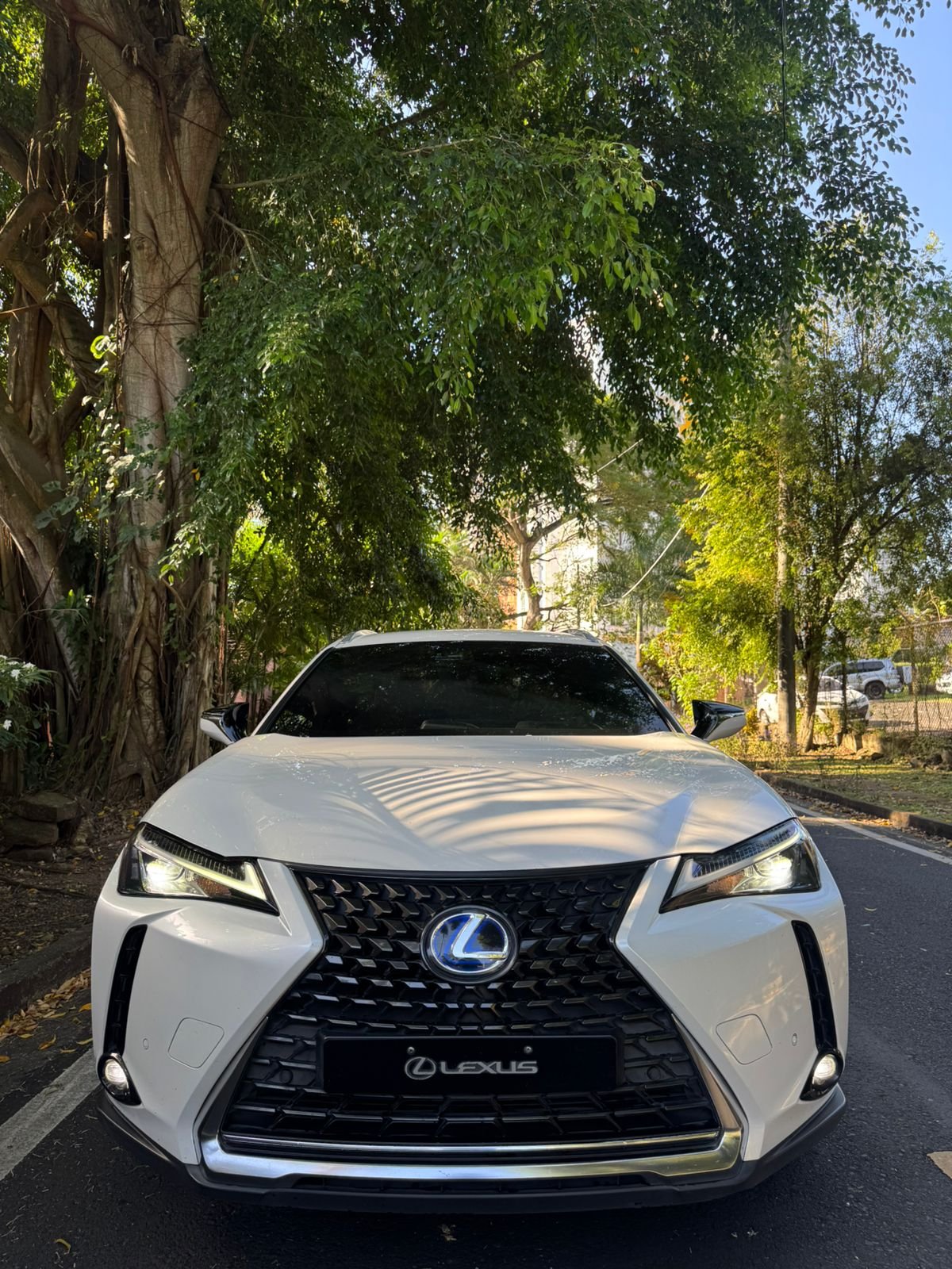 LEXUS UX 250h 2022 - Imagen 2