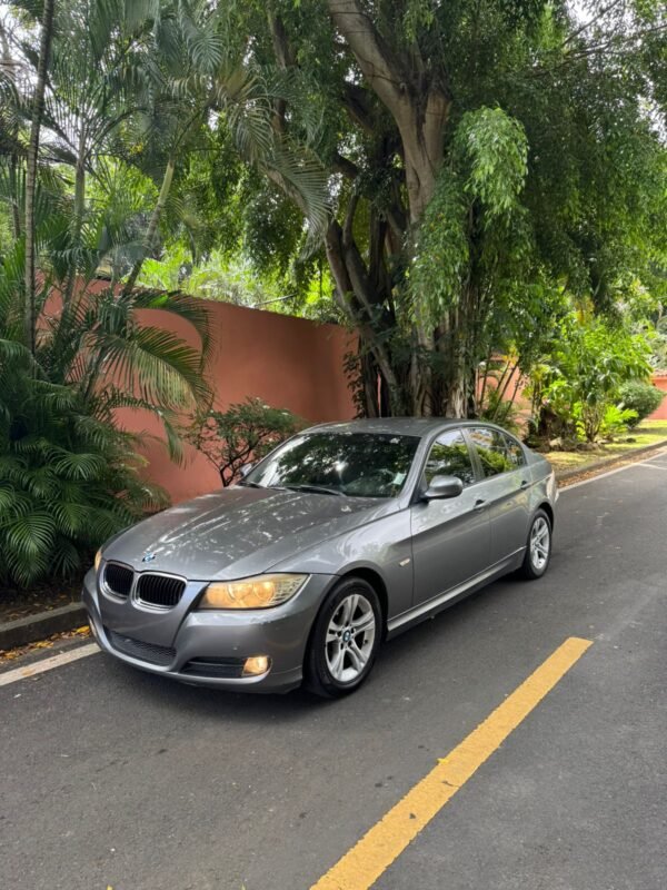 BMW 318i 2010