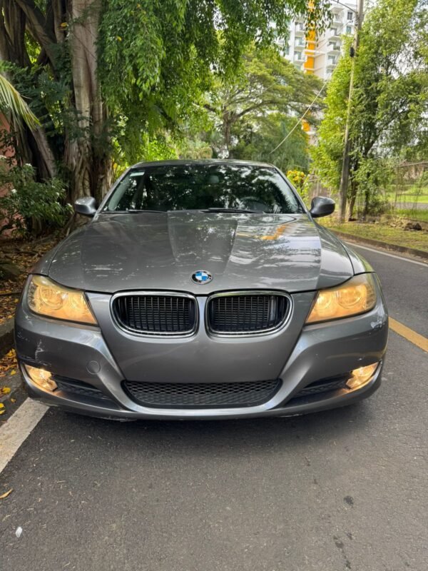 BMW 318i 2010 - Imagen 2