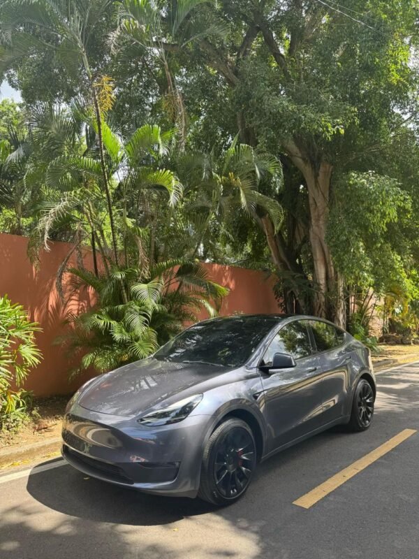 TESLA Y 2023