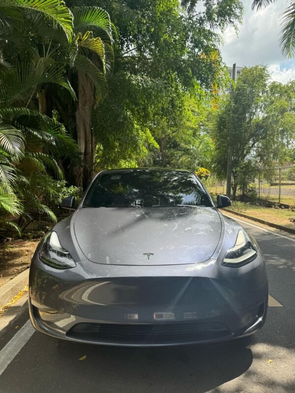TESLA Y 2023 - Imagen 2