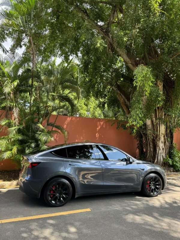 TESLA Y 2023 - Imagen 4