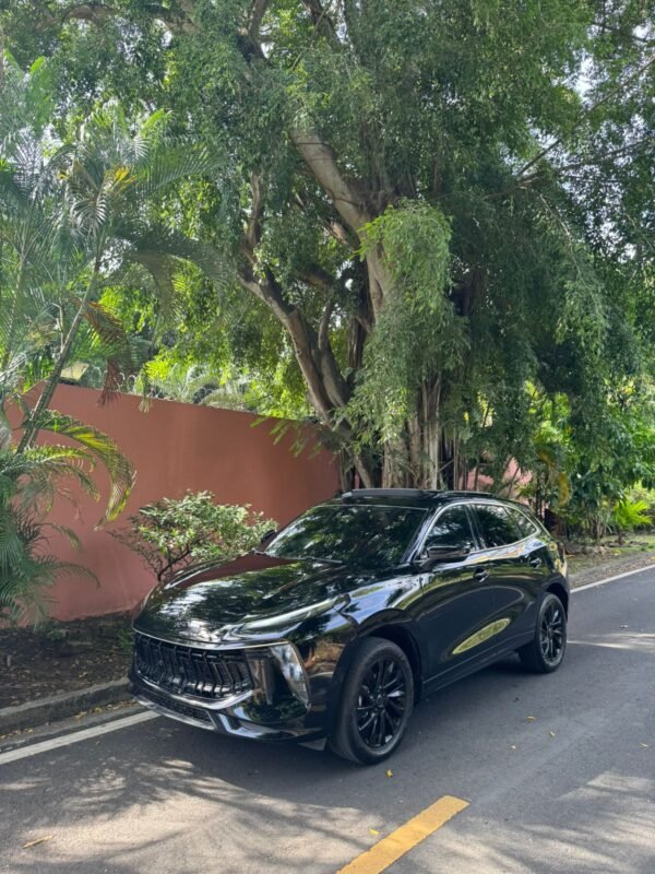 DONGFENG FORTHING T5EVO 2024