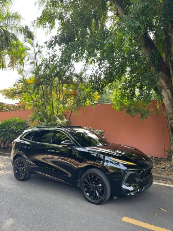 DONGFENG FORTHING T5EVO 2024 - Imagen 3