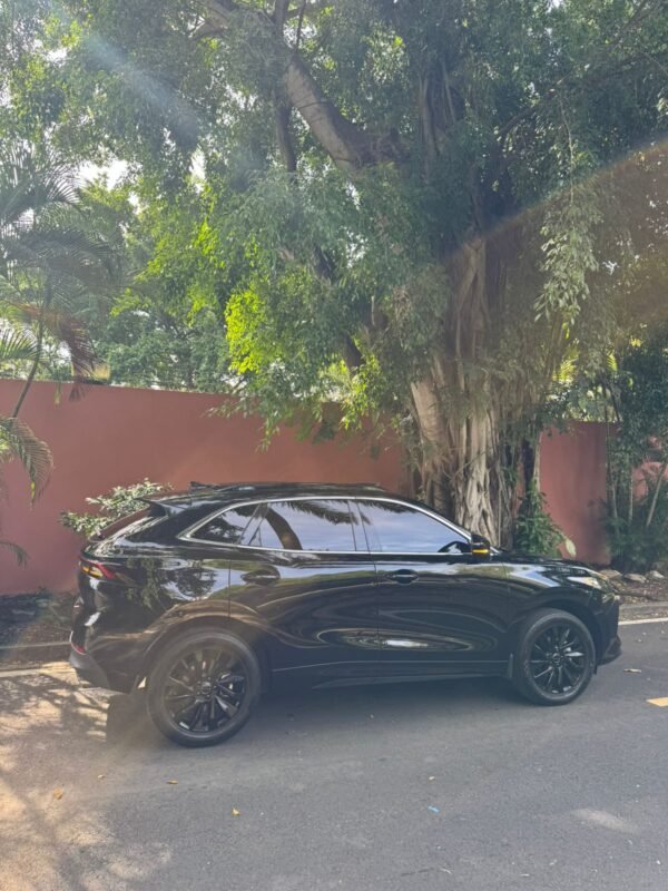 DONGFENG FORTHING T5EVO 2024 - Imagen 4