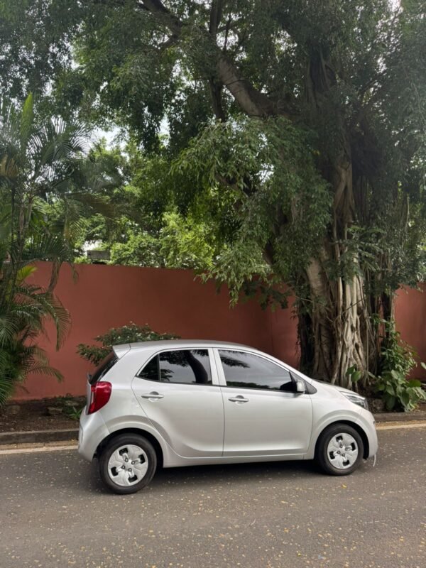 KIA PICANTO 2024 - Imagen 3