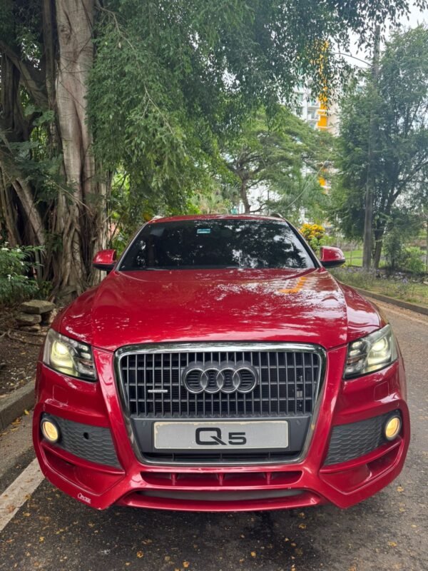 AUDI Q5 2013 - Imagen 3
