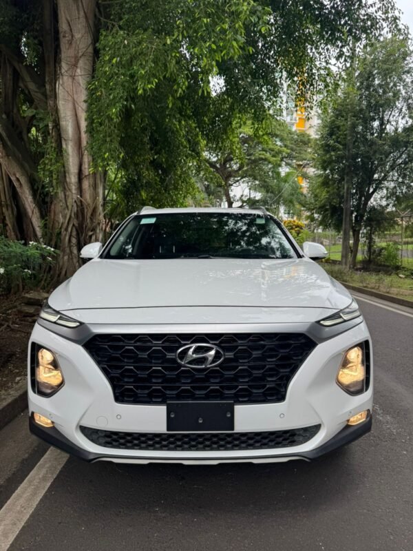 HYUNDAI SANTAFE 2019 - Imagen 2
