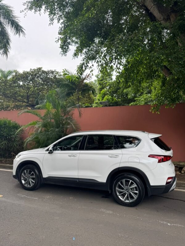 HYUNDAI SANTAFE 2019 - Imagen 4