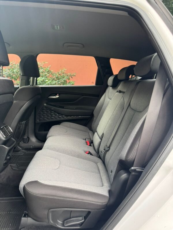 HYUNDAI SANTAFE 2019 - Imagen 18
