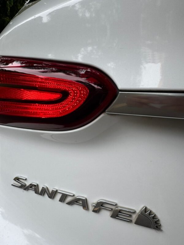 HYUNDAI SANTAFE 2019 - Imagen 20