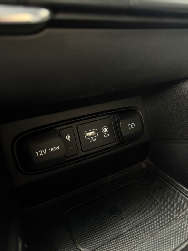 HYUNDAI SANTAFE 2019 - Imagen 12
