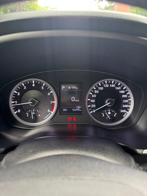 HYUNDAI SANTAFE 2019 - Imagen 11