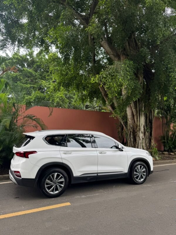 HYUNDAI SANTAFE 2019 - Imagen 3