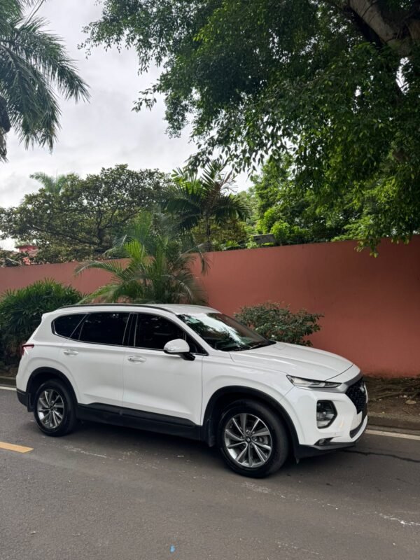HYUNDAI SANTAFE 2019 - Imagen 5