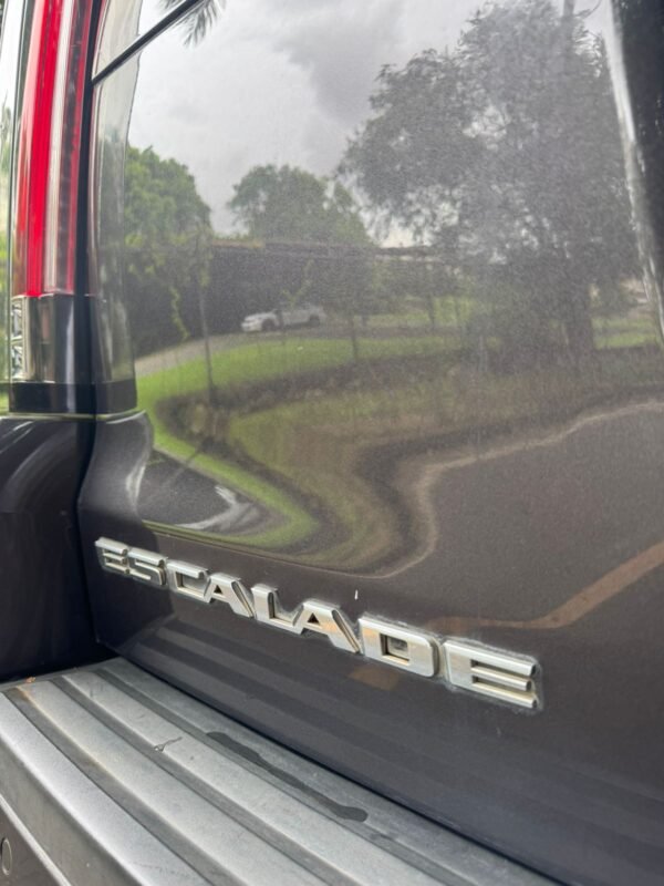 CADILLAC ESCALADE 2015 - Imagen 20
