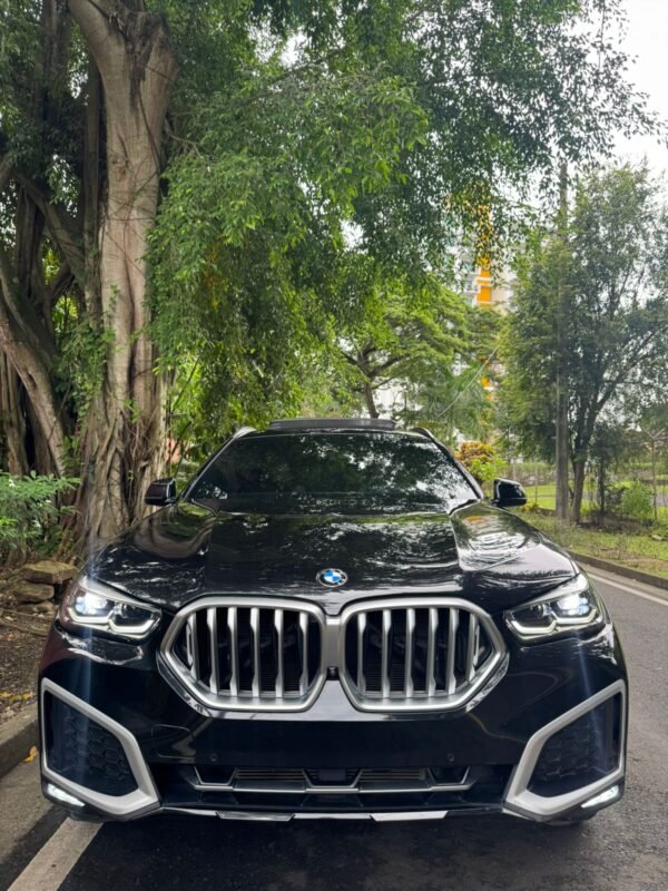 BMW X6  xDRIVE 4.0i 2020 - Imagen 2