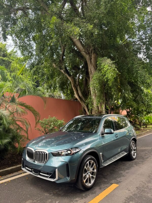 BMW X5  xDRIVE 2025