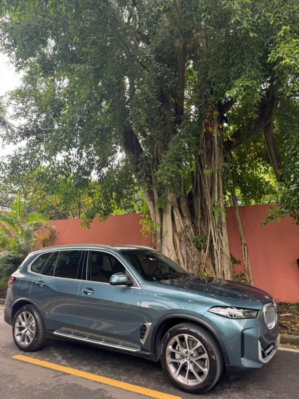 BMW X5  xDRIVE 2025 - Imagen 5
