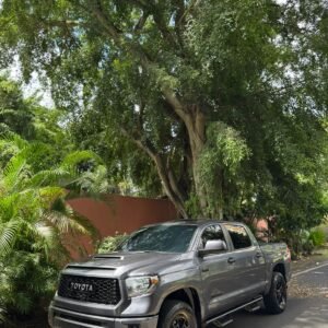 TOYOTA  TUNDRA TRD PRO  2020