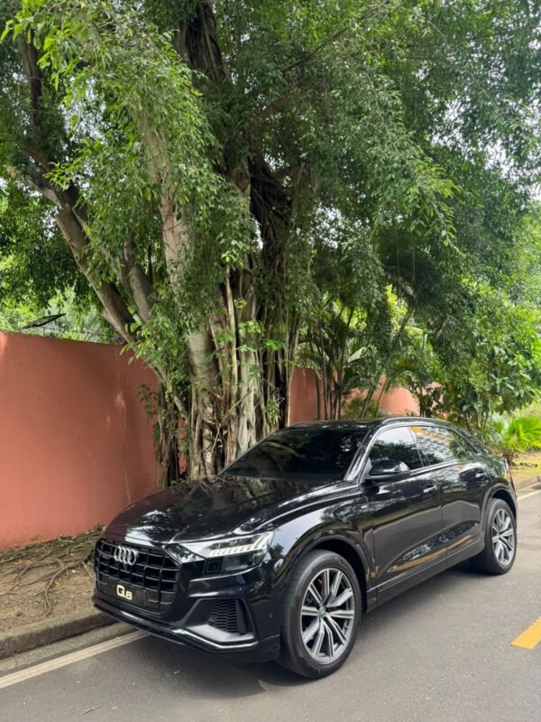 AUDI Q8 SLINE 2019
