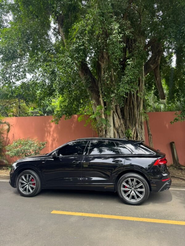 AUDI Q8 SLINE 2019 - Imagen 4