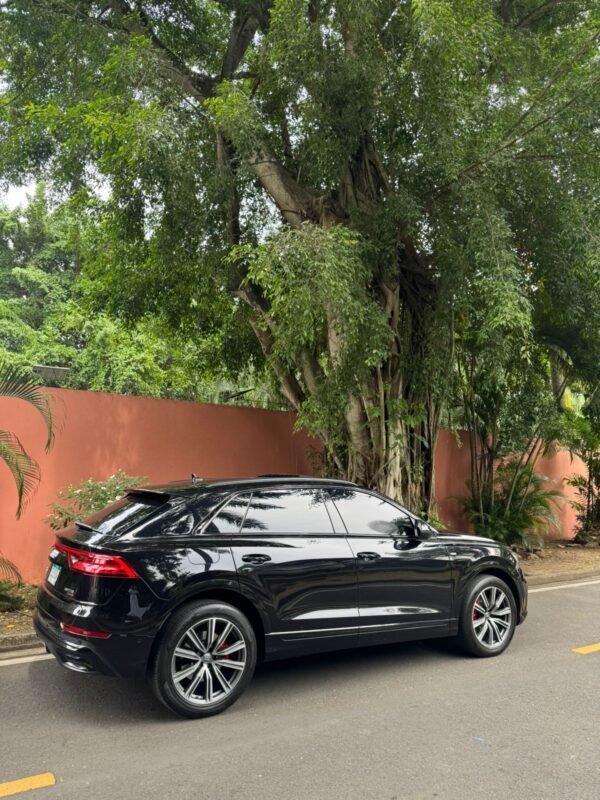 AUDI Q8 SLINE 2019 - Imagen 3