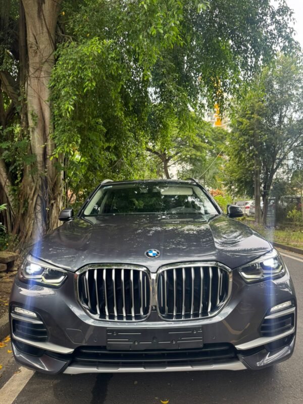 BMW X5 2019 - Imagen 2