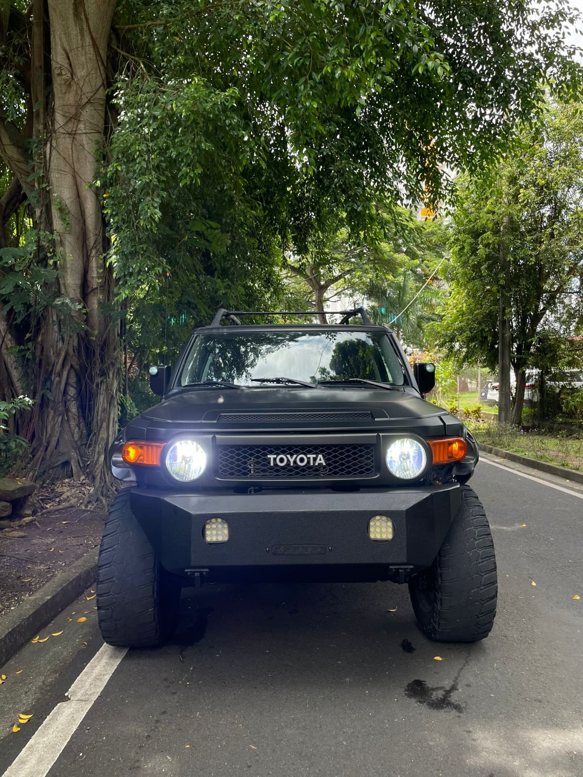 TOYOTA FJ CRUISER 2007 - Imagen 3