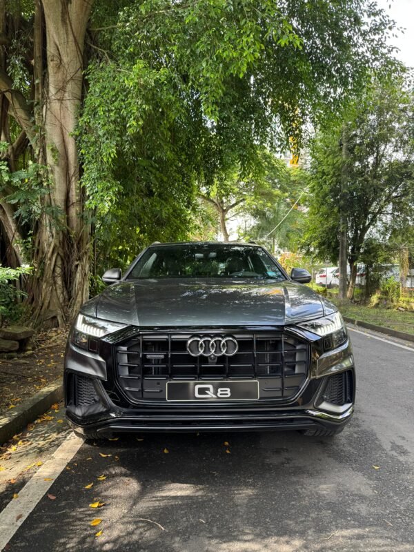 AUDI Q8 S-LINE 2019 - Imagen 11