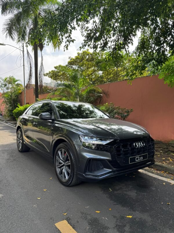 AUDI Q8 S-LINE 2019 - Imagen 14