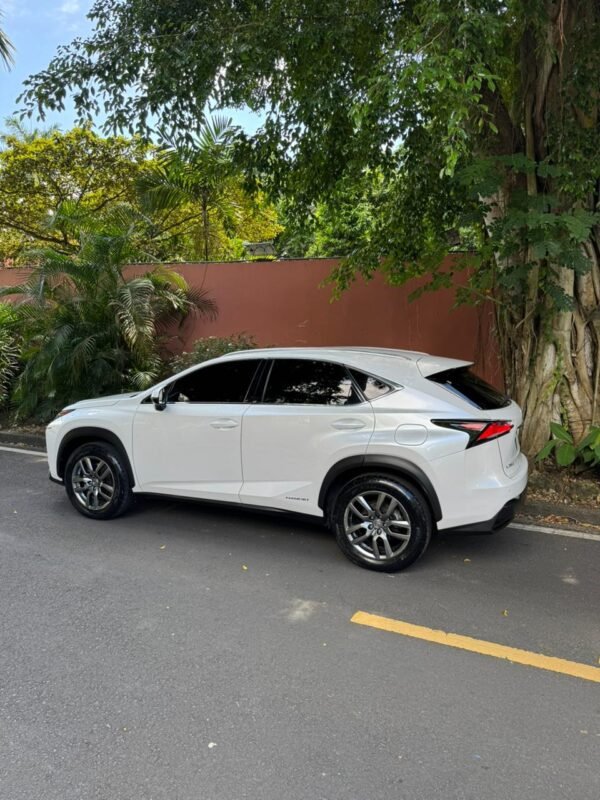 LEXUS NX300H 2016 - Imagen 3