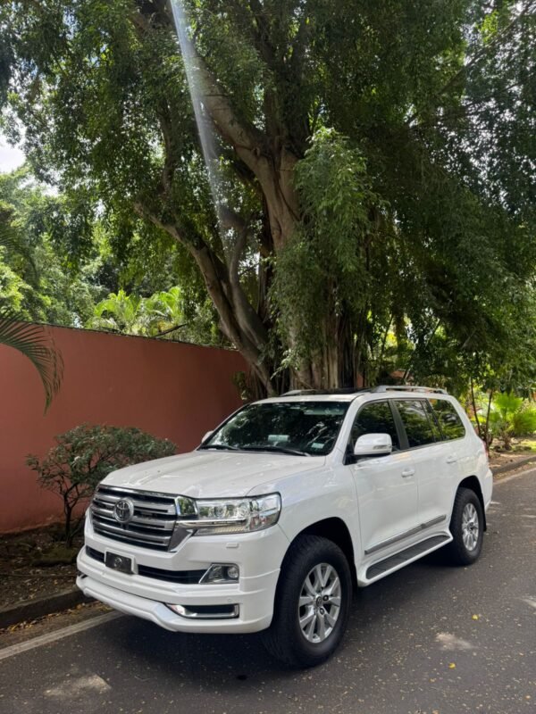 TOYOTA LANDCRUISER 2019