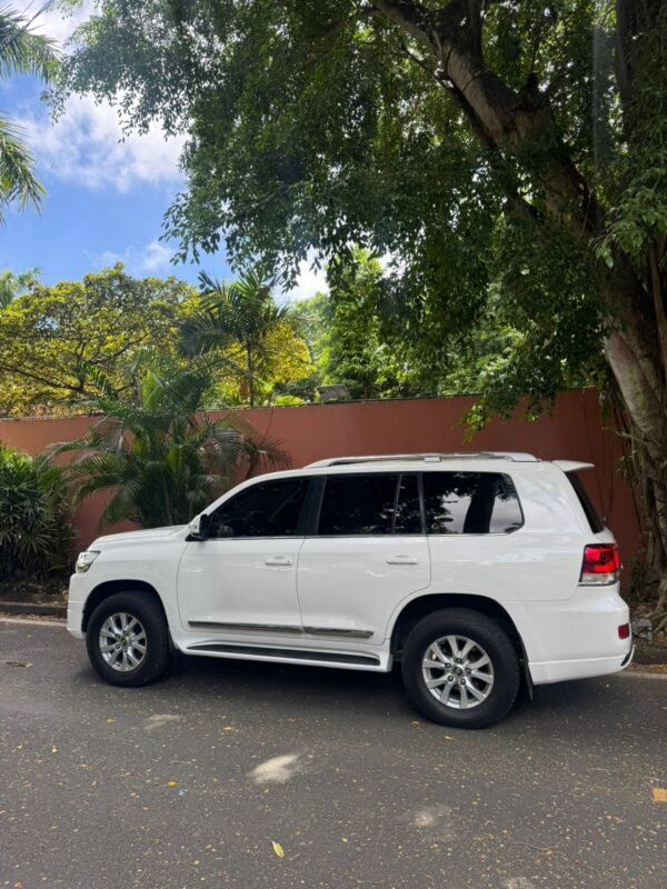 TOYOTA LANDCRUISER 2019 - Imagen 2
