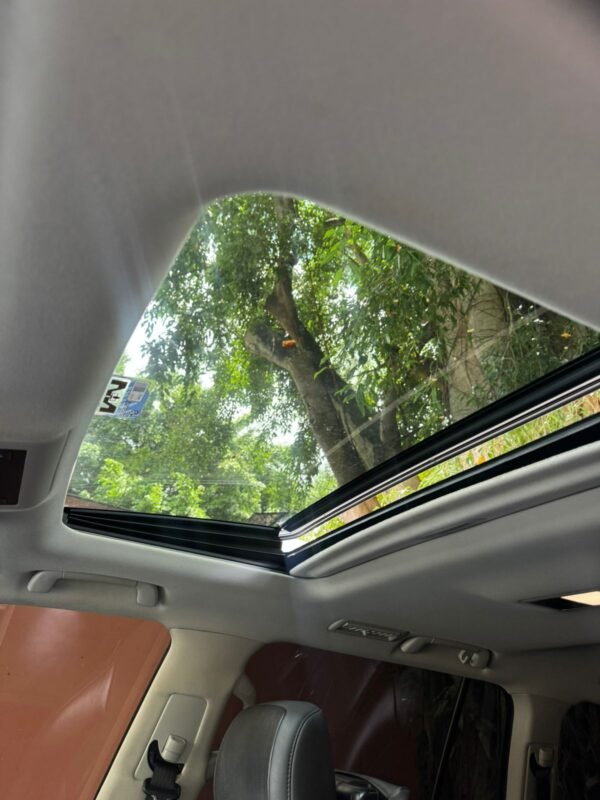 TOYOTA LANDCRUISER 2019 - Imagen 5