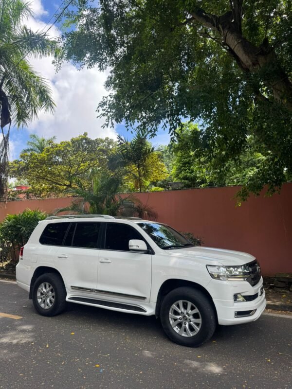 TOYOTA LANDCRUISER 2019 - Imagen 12