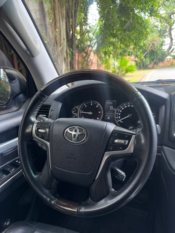 TOYOTA LANDCRUISER 2019 - Imagen 14