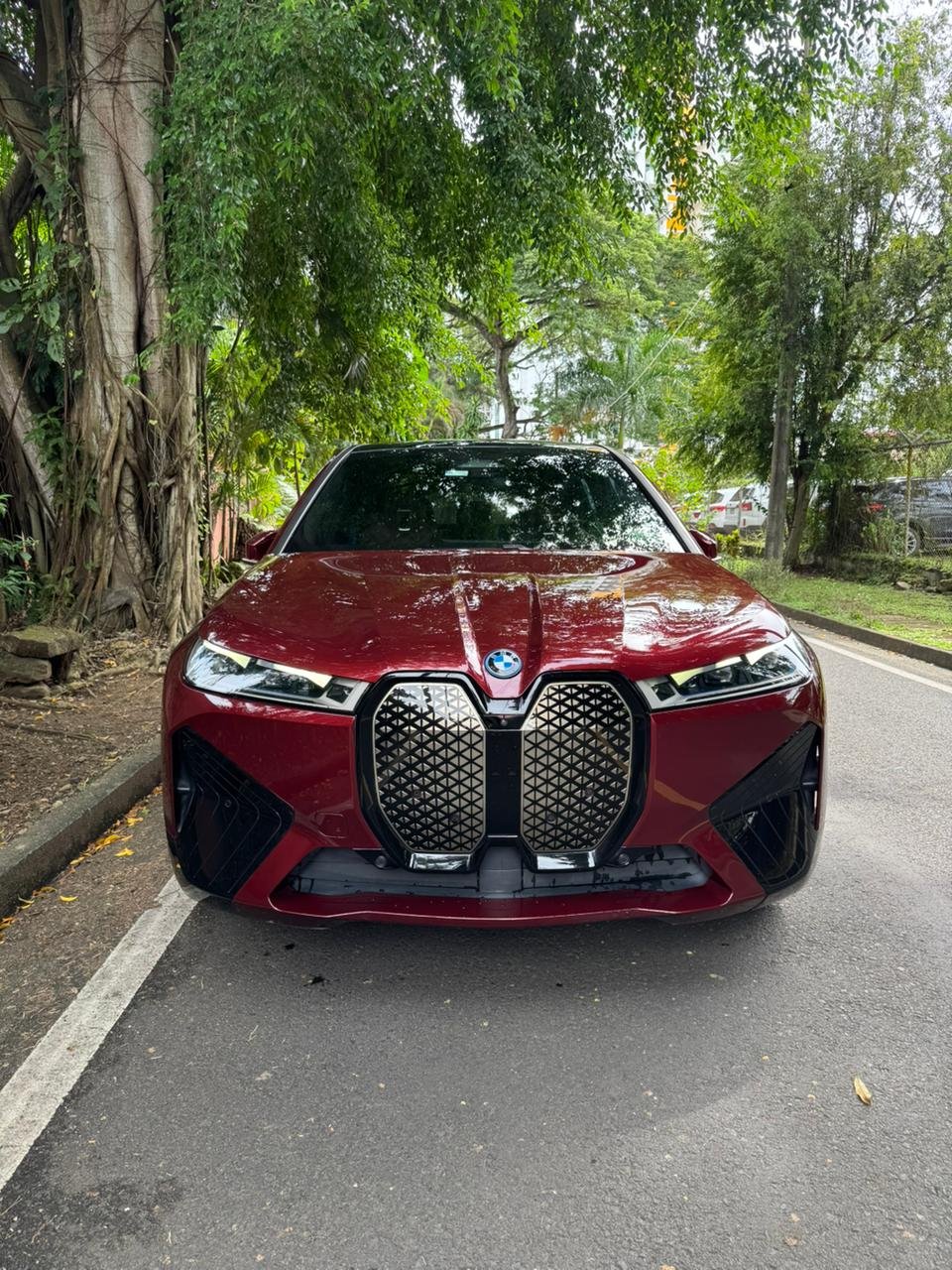 BMW IX 4.0 XDRIVE 2022 - Imagen 2