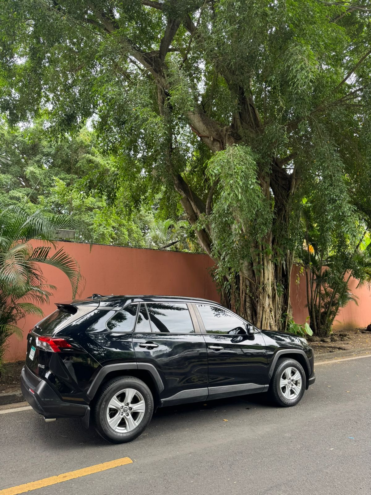 TOYOTA RAV4 2019 - Imagen 3