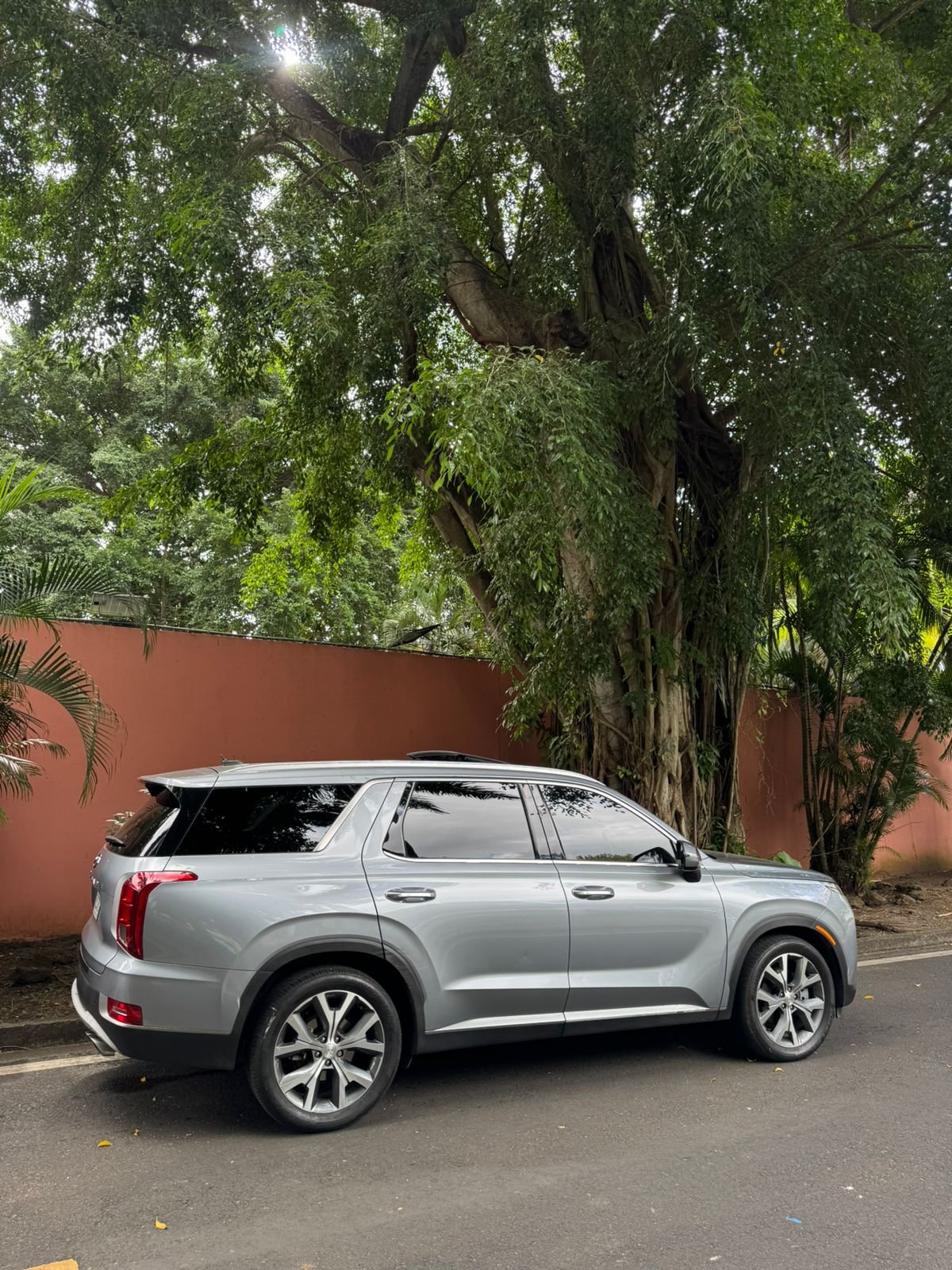 HYUNDAI PALISADE 2020 - Imagen 4