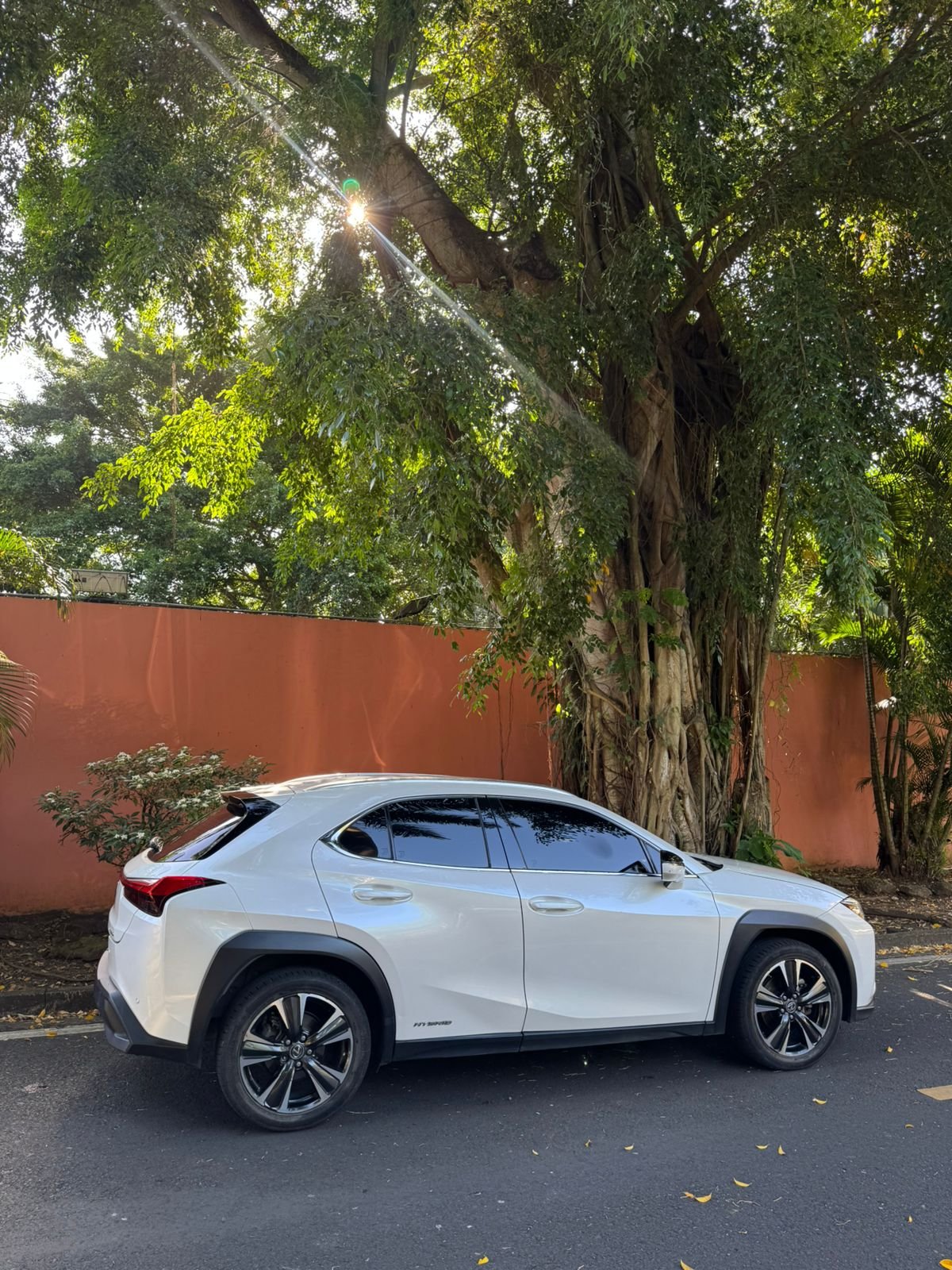 LEXUS UX 250h 2022 - Imagen 3