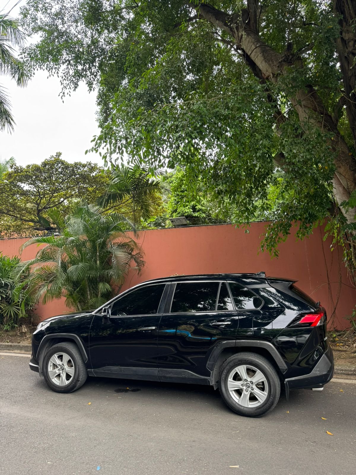 TOYOTA RAV4 2019 - Imagen 4