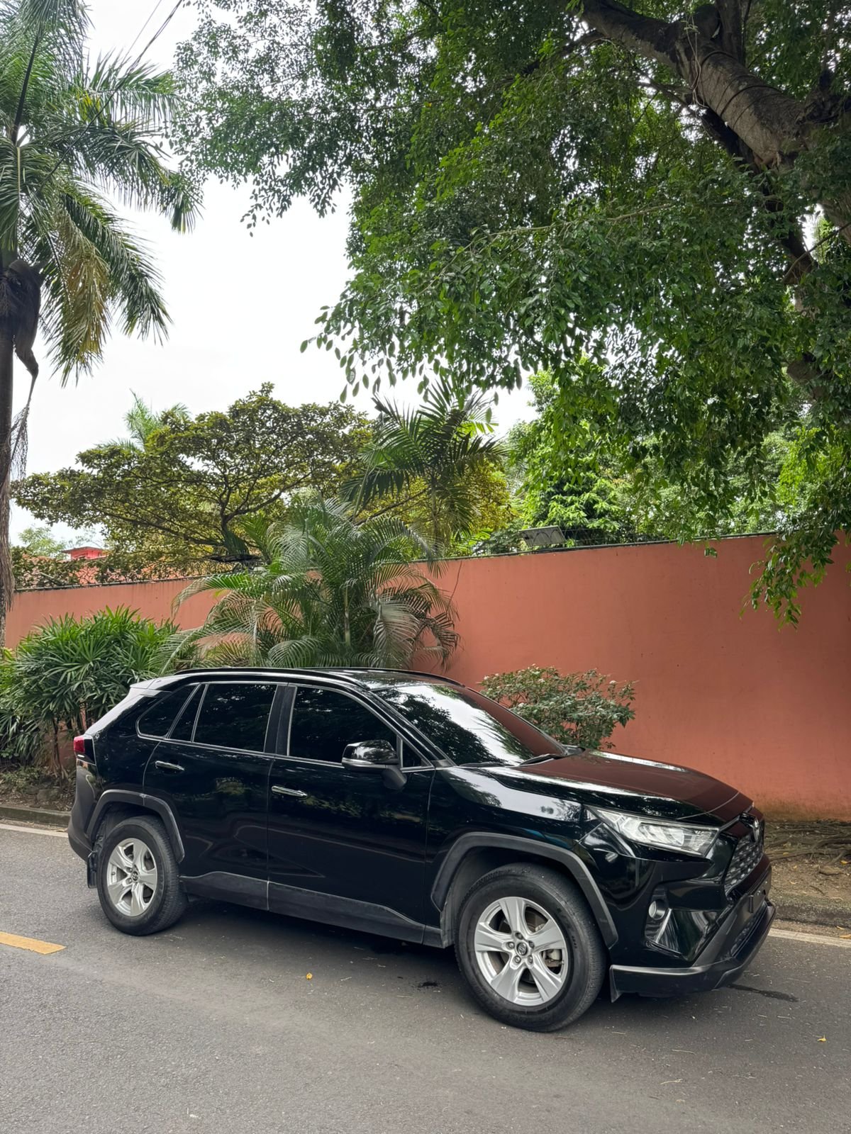 TOYOTA RAV4 2019 - Imagen 5