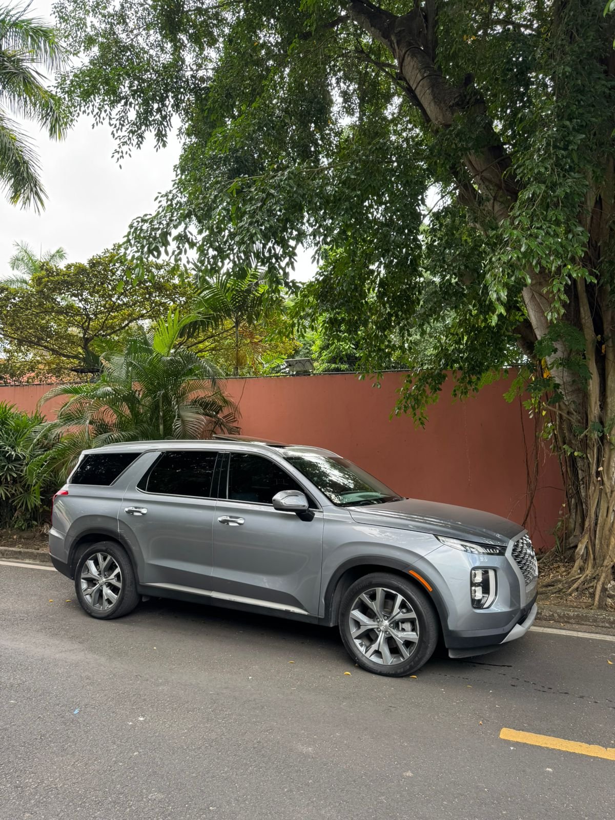 HYUNDAI PALISADE 2020 - Imagen 6